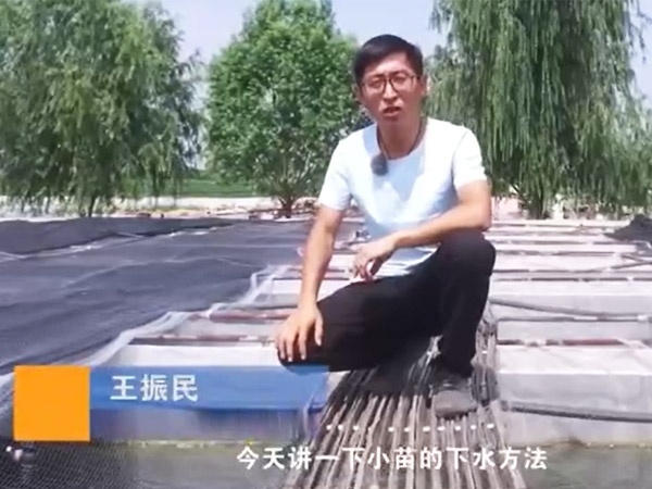 赢多多小苗的下水要领