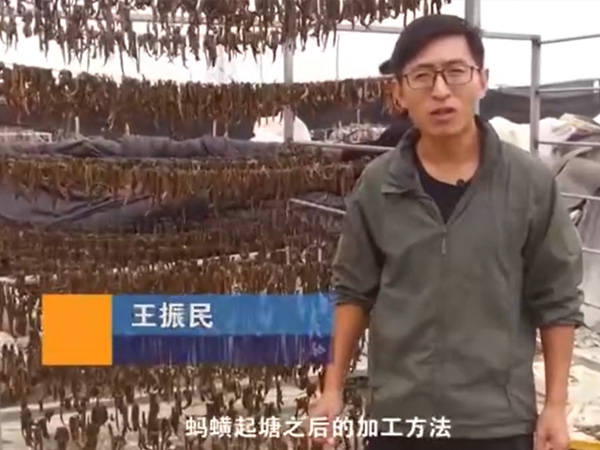 赢多多加工要领