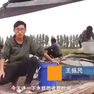 赢多多收获时间